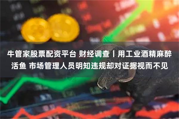 牛管家股票配资平台 财经调查丨用工业酒精麻醉活鱼 市场管理人员明知违规却对证据视而不见