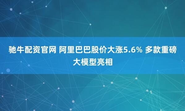 驰牛配资官网 阿里巴巴股价大涨5.6% 多款重磅大模型亮相